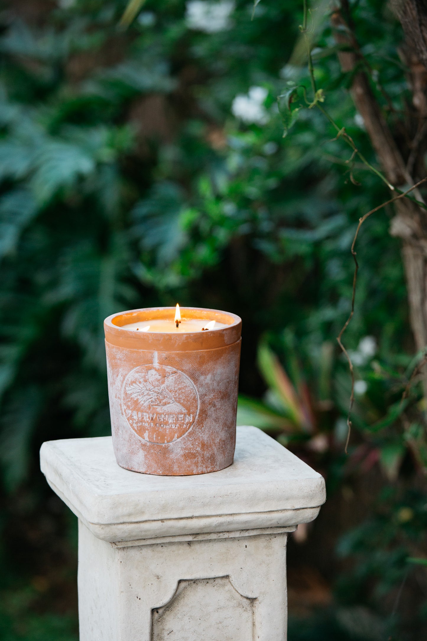 Mahogany & Oak - Terracotta Candle