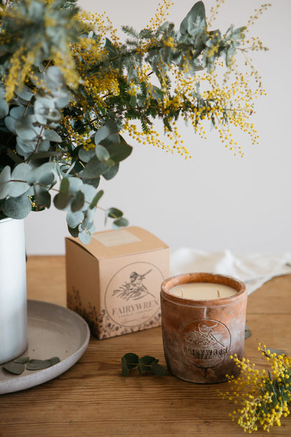 Amber, Teak & Moss - Terracotta Candle