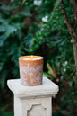 Mahogany & Oak - Terracotta Candle