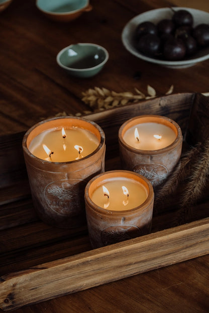 Cinnamon & Spice - Terracotta Candle