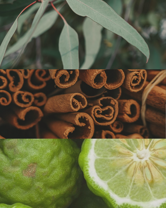 Bergamot, Citrus & Clove - Terracotta Candle