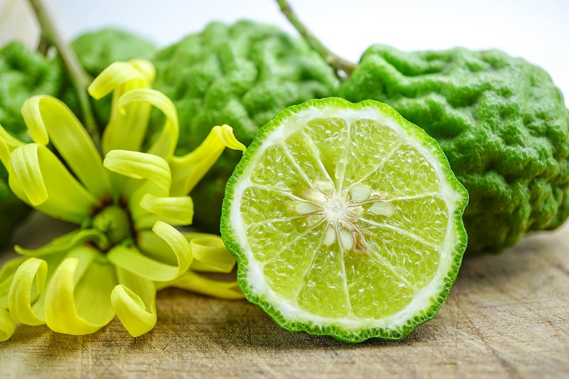 Bergamot, Citrus & Clove - Travel Tin Candle