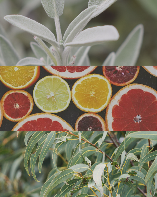 Citrus & Sage - Terracotta Candle