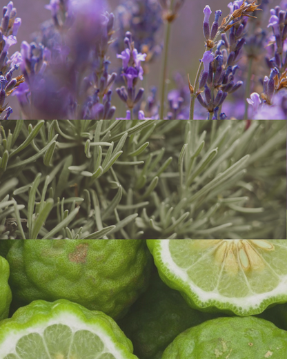 English Lavender - Travel Tin Candle