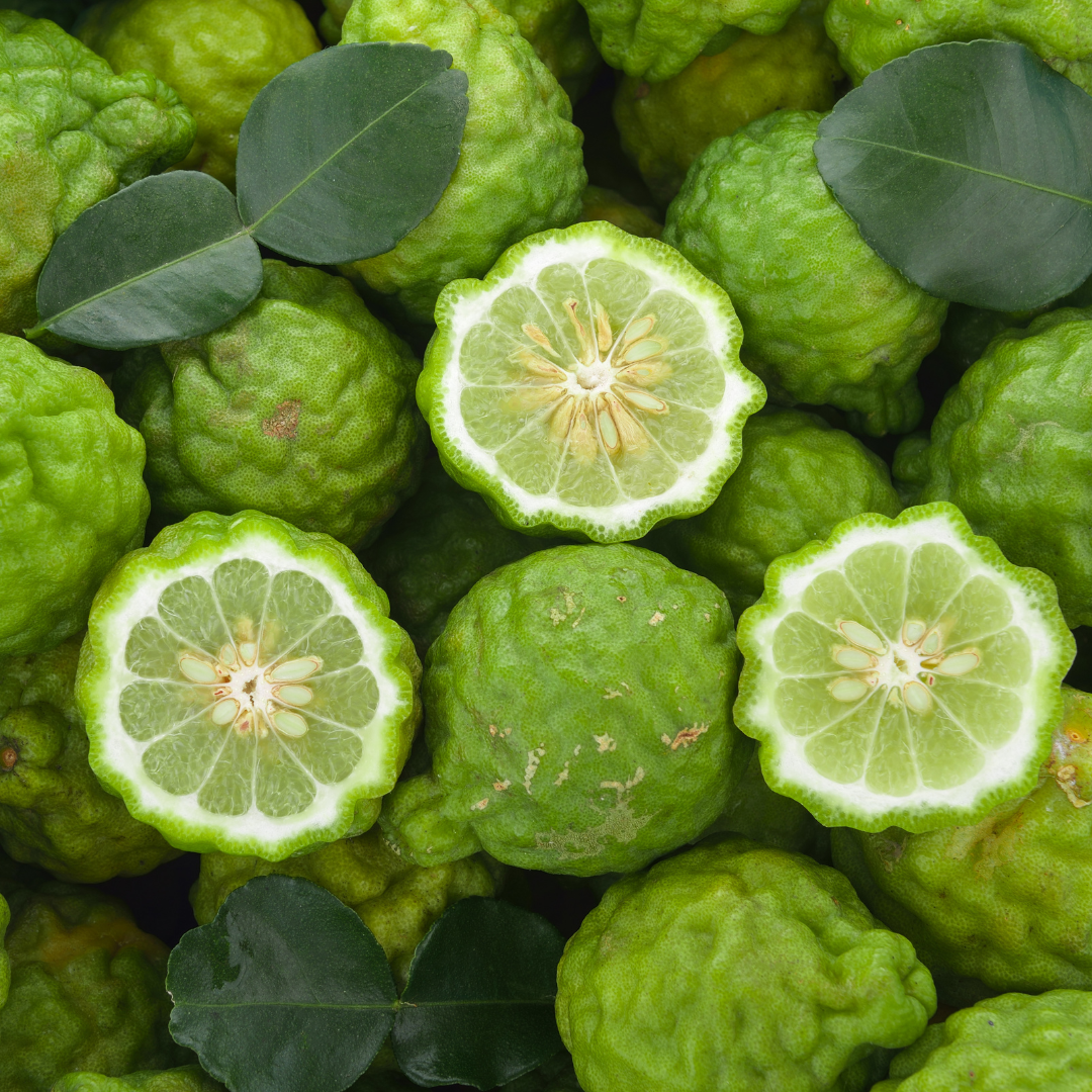Lime & Sandalwood - Travel Tin Candle