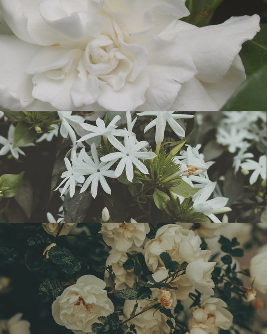 Gardenia - Terracotta Candle