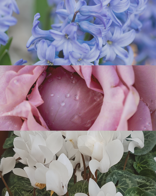 Hyacinth - Terracotta Candle