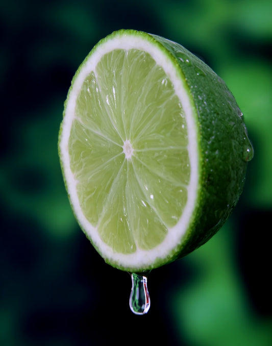 Lime & Sandalwood - Perennial White