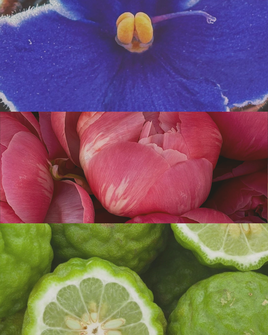 Peony & Violet - Terracotta Candle
