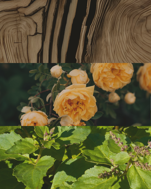 Sandalwood, Rose & Patchouli - Terracotta Candle
