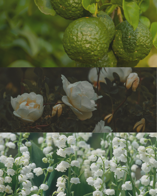 White Rose & Bergamot - Terracotta Candle